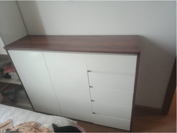 hình ảnh tủ giày dép đa năng tiện dụng đẹp mắt gtt 51791_2