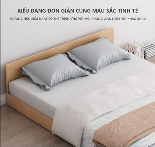 Kiểu dáng đơn giản màu sắc tinh tế